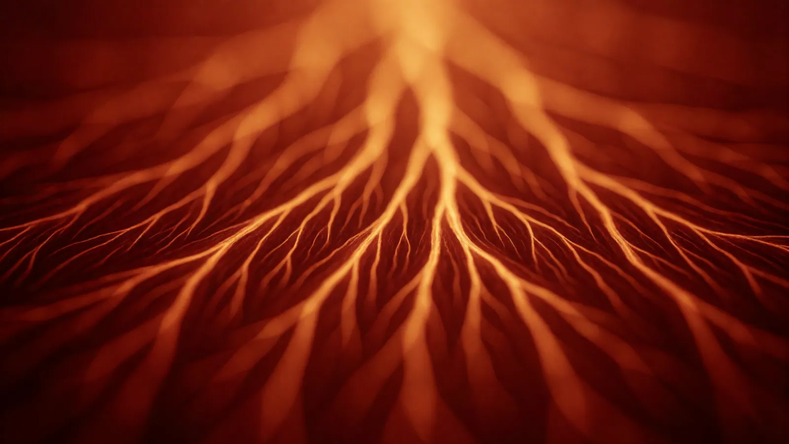 An abstract pattern of fine amber and red branching lines radiating across a dark ground